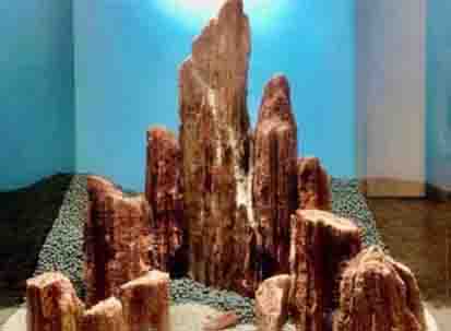 plenet aquarium