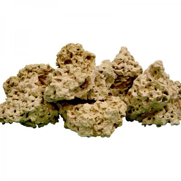 سنگ آکواریوم