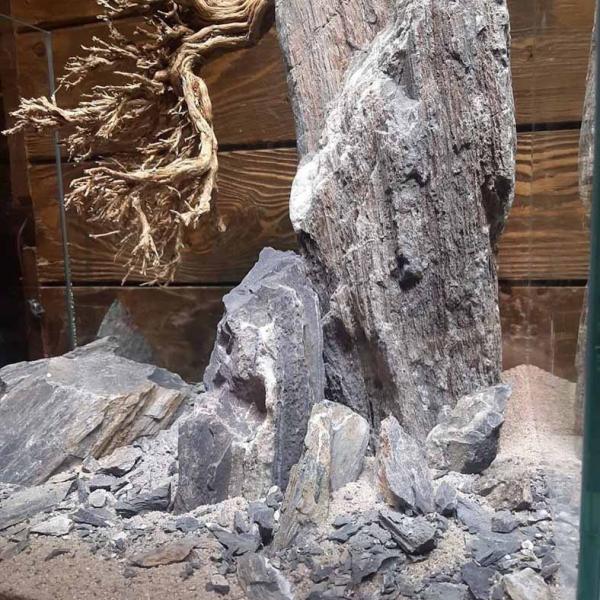 صخره آکواریوم
