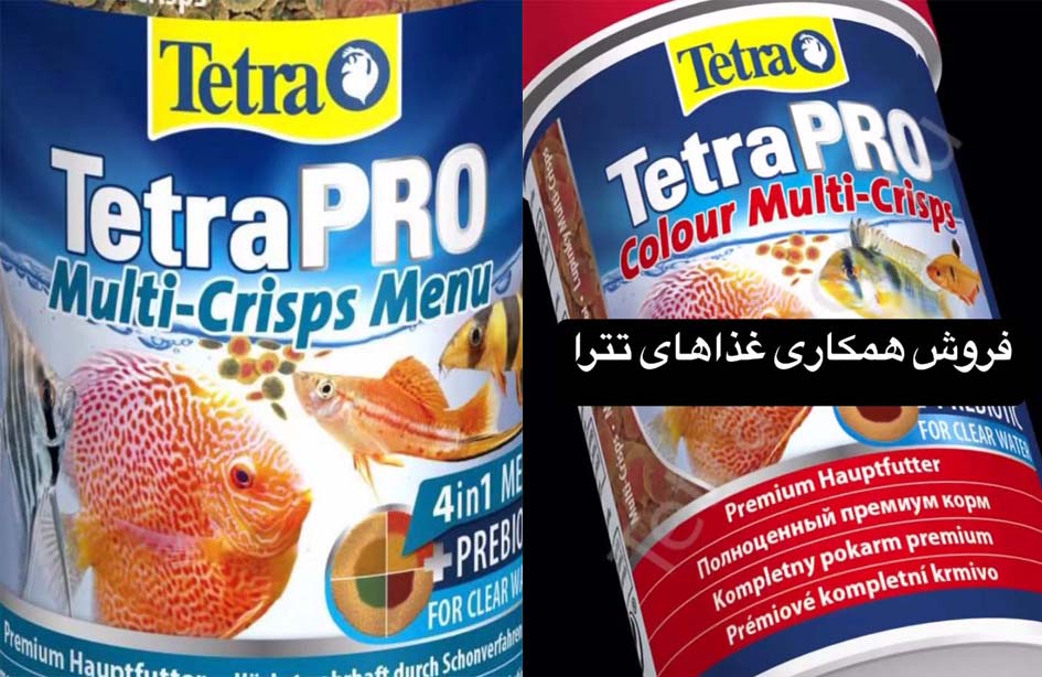 tetra fish food